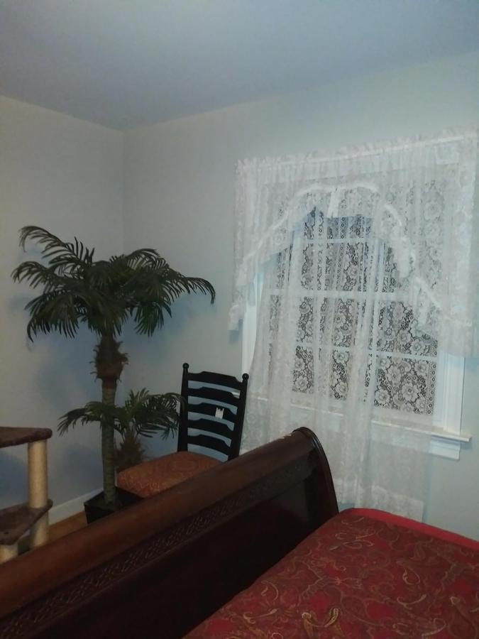 Caribbean Comfort Zone Chesterfield Luaran gambar